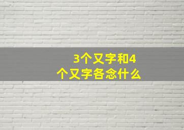 3个又字和4个又字各念什么