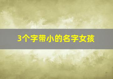 3个字带小的名字女孩