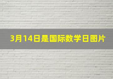 3月14日是国际数学日图片