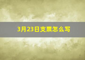 3月23日支票怎么写