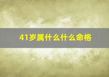 41岁属什么什么命格