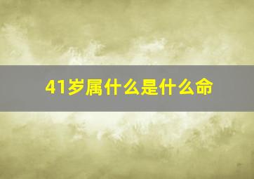 41岁属什么是什么命