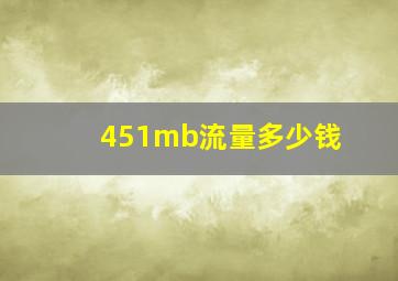 451mb流量多少钱