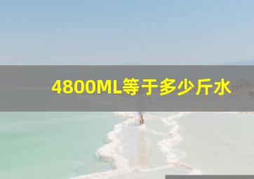 4800ML等于多少斤水