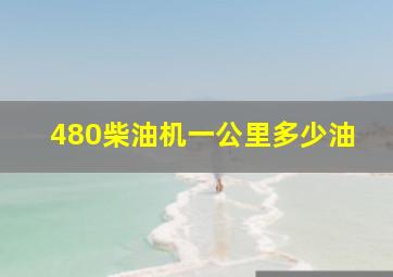 480柴油机一公里多少油