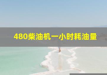 480柴油机一小时耗油量