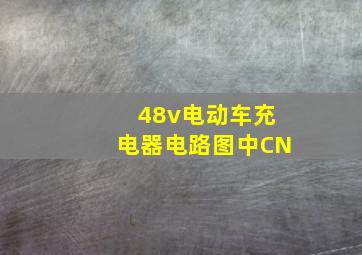 48v电动车充电器电路图中CN