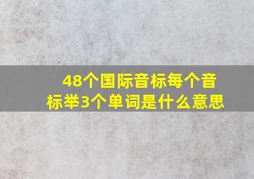 48个国际音标每个音标举3个单词是什么意思