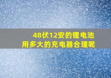 48伏12安的锂电池用多大的充电器合理呢