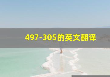 497-305的英文翻译