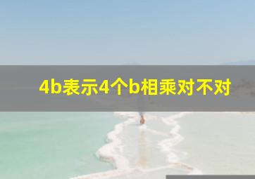 4b表示4个b相乘对不对