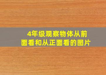 4年级观察物体从前面看和从正面看的图片