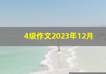 4级作文2023年12月