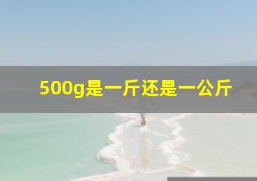 500g是一斤还是一公斤