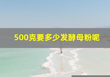 500克要多少发酵母粉呢