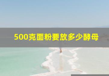 500克面粉要放多少酵母