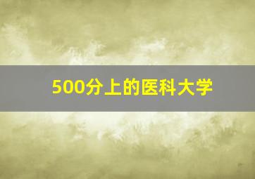 500分上的医科大学