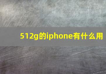 512g的iphone有什么用