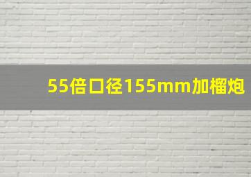 55倍口径155mm加榴炮