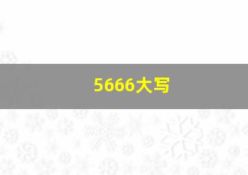 5666大写