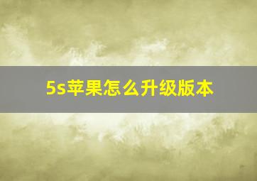 5s苹果怎么升级版本