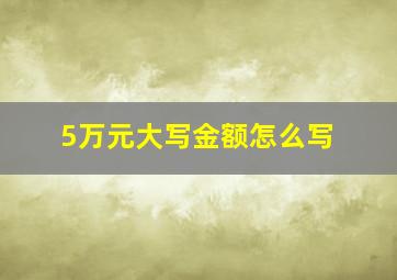 5万元大写金额怎么写