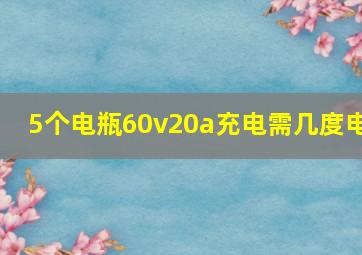 5个电瓶60v20a充电需几度电