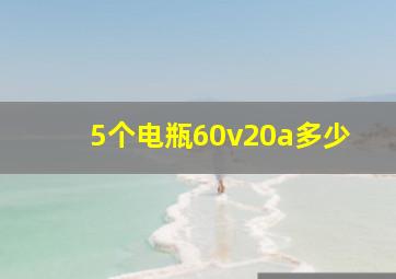 5个电瓶60v20a多少