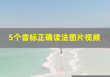 5个音标正确读法图片视频