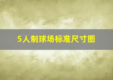 5人制球场标准尺寸图