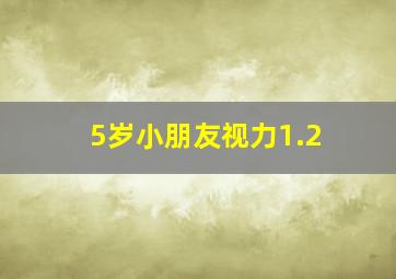 5岁小朋友视力1.2