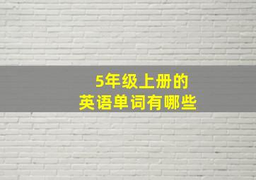 5年级上册的英语单词有哪些