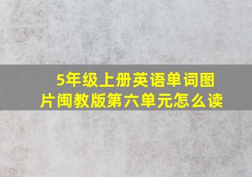 5年级上册英语单词图片闽教版第六单元怎么读