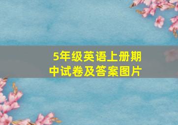 5年级英语上册期中试卷及答案图片