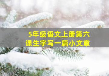 5年级语文上册第六课生字写一篇小文章