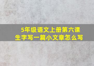 5年级语文上册第六课生字写一篇小文章怎么写