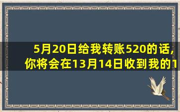 5月20日给我转账520的话,你将会在13月14日收到我的1