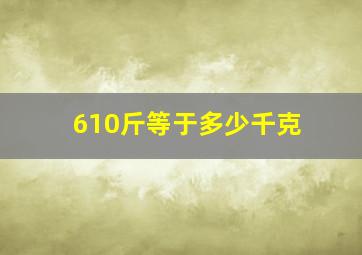 610斤等于多少千克