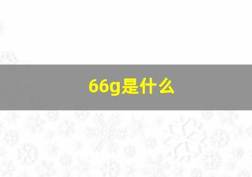 66g是什么