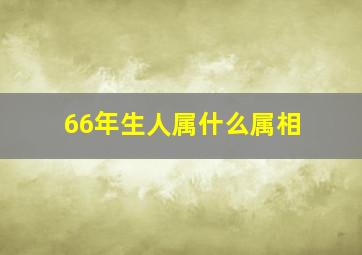 66年生人属什么属相