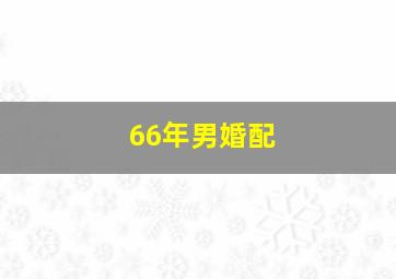 66年男婚配