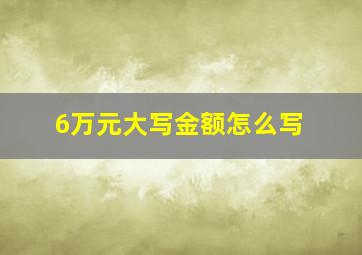 6万元大写金额怎么写