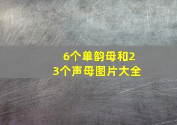 6个单韵母和23个声母图片大全