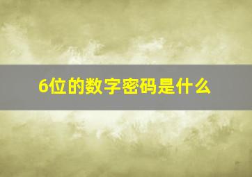 6位的数字密码是什么