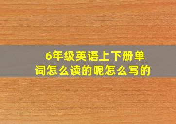 6年级英语上下册单词怎么读的呢怎么写的