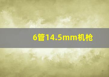 6管14.5mm机枪