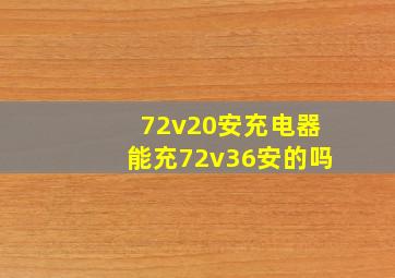 72v20安充电器能充72v36安的吗