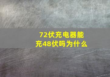 72伏充电器能充48伏吗为什么