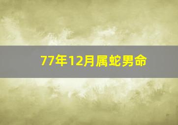 77年12月属蛇男命