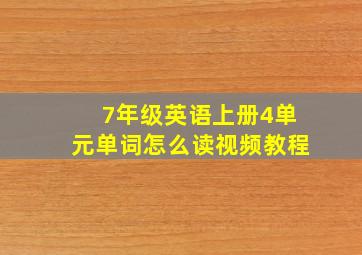 7年级英语上册4单元单词怎么读视频教程